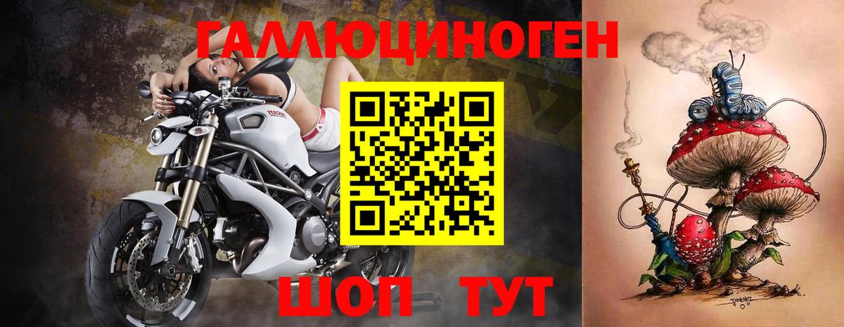 Псилоцибиновые грибы Cubensis  Вход с VPN  Юрга 